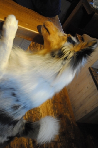 130_201410242011410fc.jpg