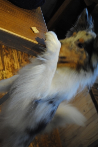 134_2014102420114296f.jpg