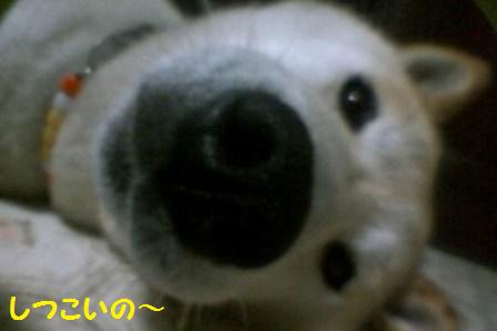 鼻デカ2
