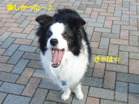 楽しかった