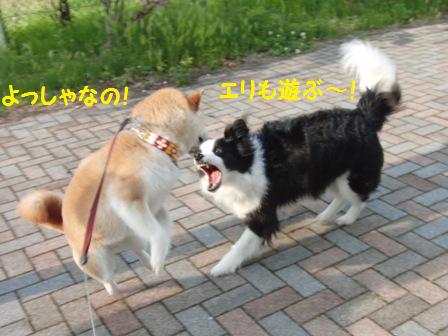 エリちゃん