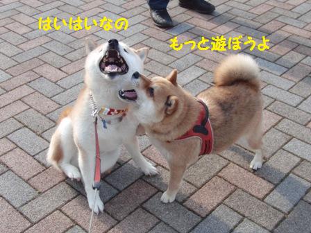 もっと遊ぶ
