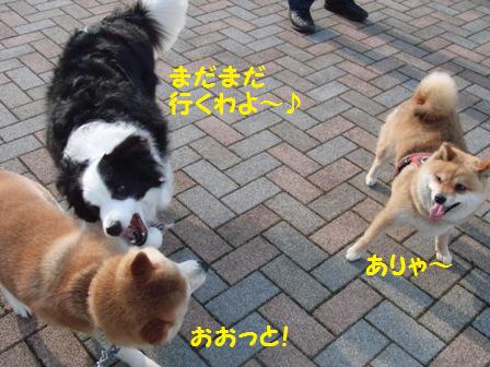 まだまだ行く