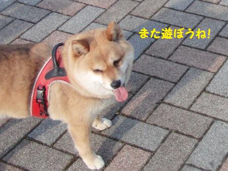 また遊ぼうね