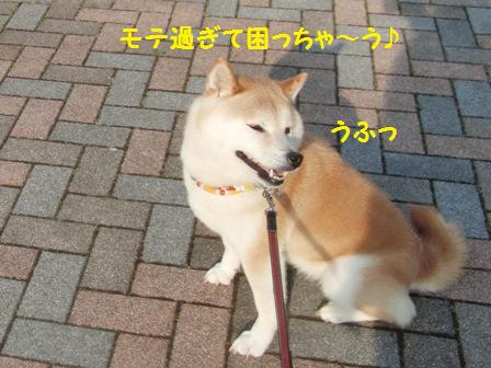 モテ過ぎ