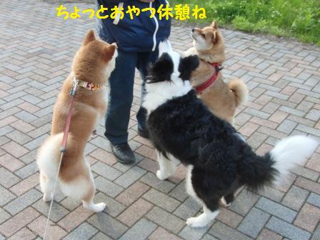 おやつ休憩
