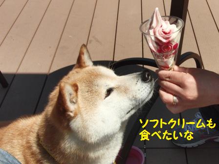 ソフトクリーム