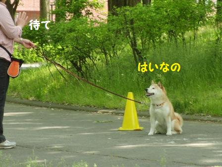 待て
