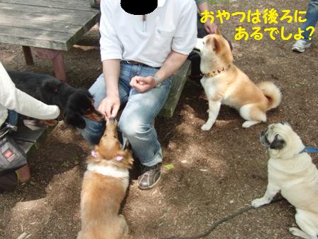 おやつ