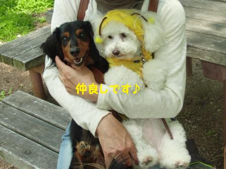 仲良し