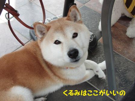 ここがいい