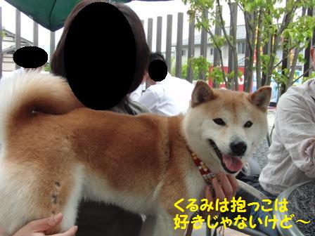 好きじゃないの
