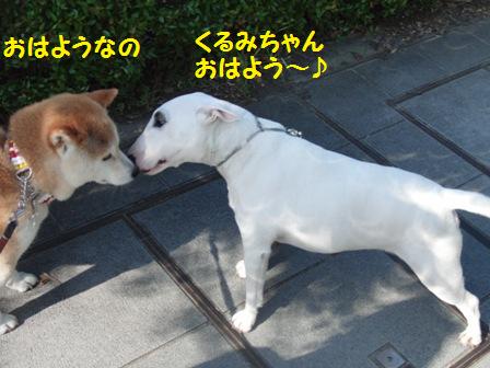 おはよう