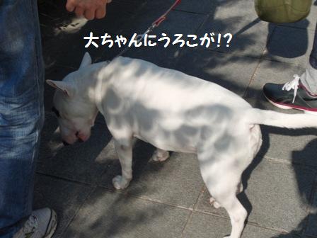 うろこ