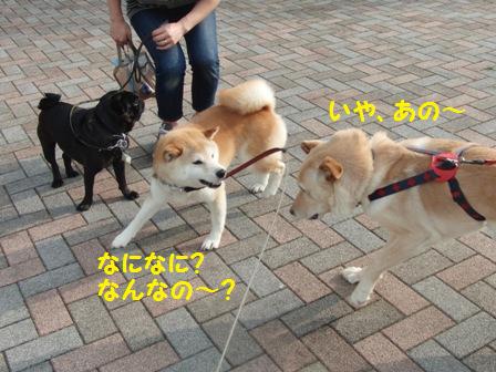 なになに?