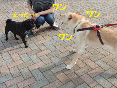 もんどくんと福造くん