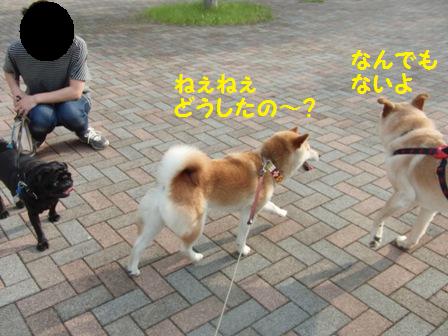 どうしたの?