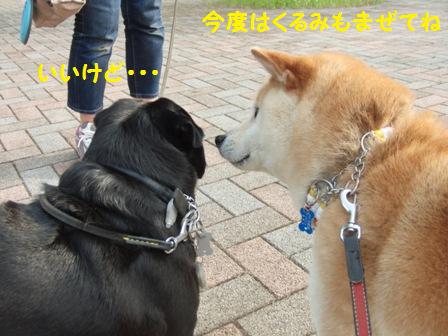 今度はまぜてね