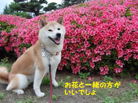 二枚目