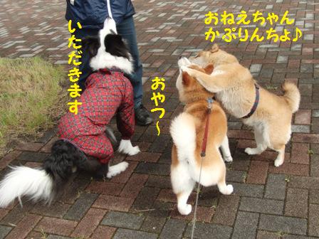 おやつ