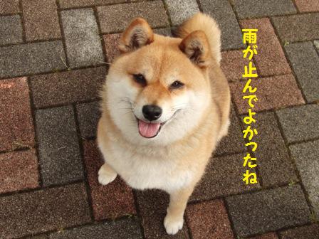 さくらちゃん