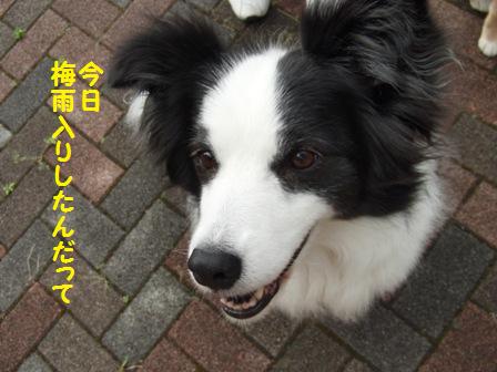 エリちゃん
