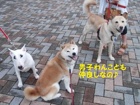 男子わんこ