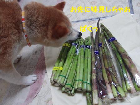 味見