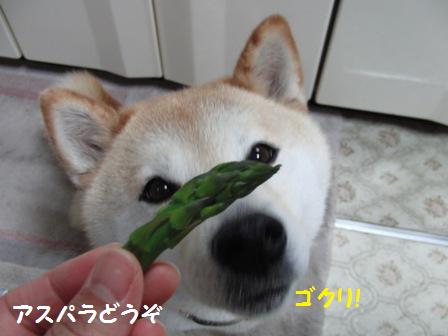 アスパラ