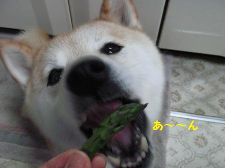 あ~ん