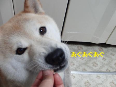 あぐあぐあぐ