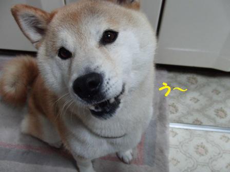 う~