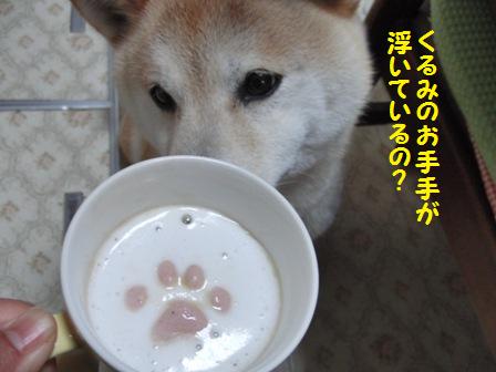 くるみのお手手