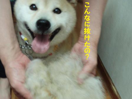 抜けた