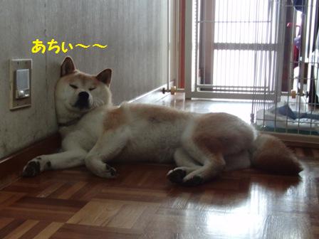 あち~