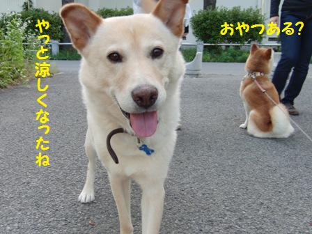 もんどくん