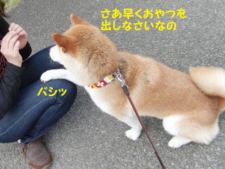 早く出せ