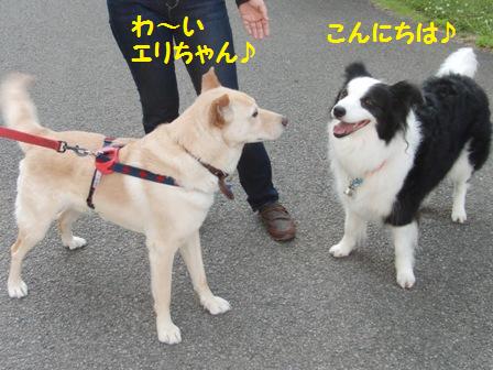 エリちゃん