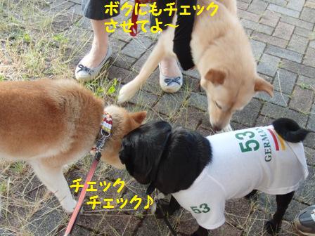 チェック