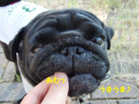 福造くん