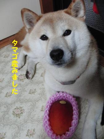 産みました