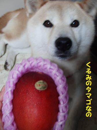 くるみのタマゴ