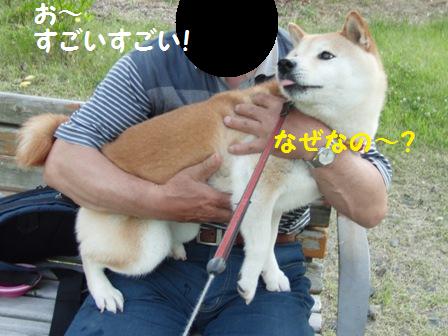 なぜなの?
