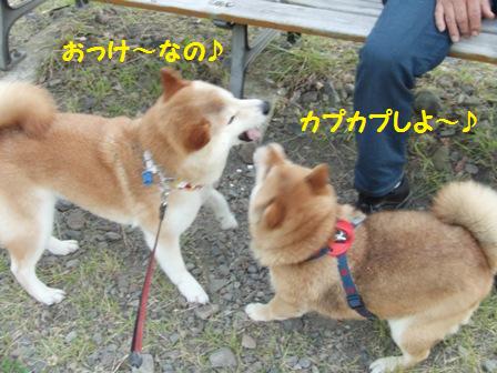 さくらちゃんとカプカプ