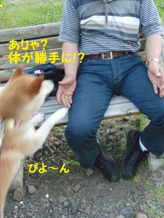 体が勝手に