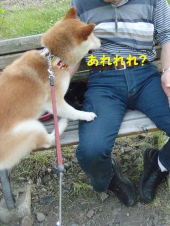 あれれれれ?