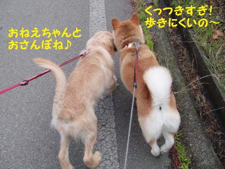 おさんぽ