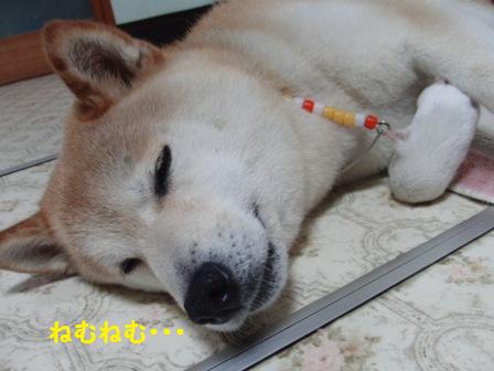 ねむねむ
