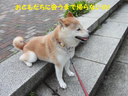 帰らないの