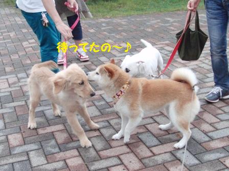 待ってたの